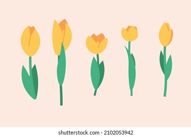 Conjunto de tulipanes amarillos. Ilustración vectorial para el servicio de entrega de flores, orden de planta en línea, tienda florista. Diseño plano para banner web, aplicación móvil