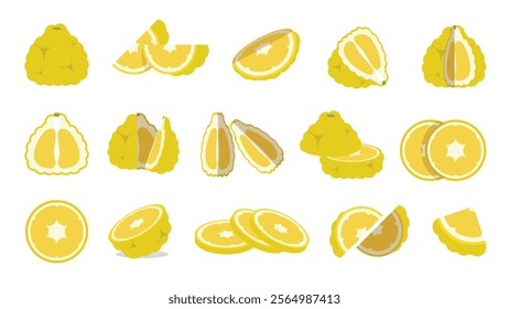 Set of Yellow Ugli fruit, Farm fresh Jamaican tangelo product emblem for grocery shop, Slides, long and cross sections, and different positions, simple flat vector illustration of vegetables and fruit