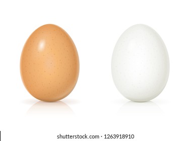 Ponga huevos de concha amarillos y blancos. Producto para cocinar el desayuno. Comida orgánica. Ver alimentos naturales crudos realistas. Aislado sobre fondo blanco. Ilustración vectorial EPS10.