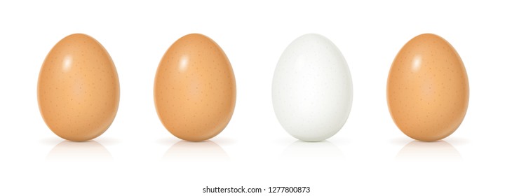 Set yellow and white shell eggs. Product for cooking breakfast. Organic food. View realistic raw natural foodstuff. Isolated On white background. EPS10 vector illustration.