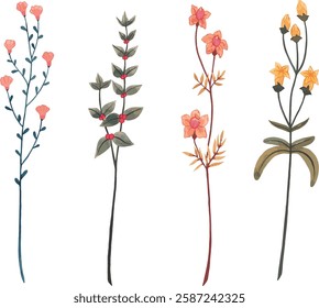 set of yellow wild flowers vector illustration series 4