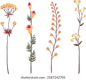 set of yellow wild flowers vector illustration series 5