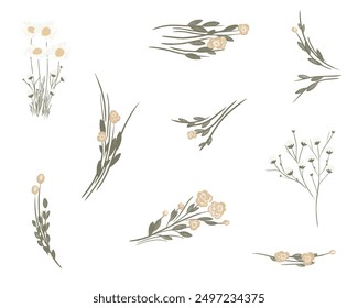 Conjunto de ilustración de flores silvestres amarillas. Arte de línea. Arte vectorial. Arreglo