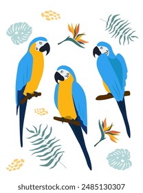 
Conjunto de loros guacamayo amarillo-azul en una rama. Flores y hojas tropicales. Gráficos de Vector Abstractas.