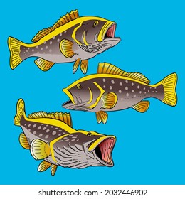 Set Of Yellowfin Grouper Fish For Gamefish Bundle Collection