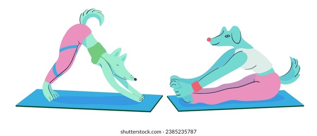 Reihe von Yoga-Hunden in Vektorgrafik. Sport im flachen Stil. Vorlage für Postkartenaufkleber-Logo-Poster für App-Website. Eine Reihe von Furry Hunden im flachstil