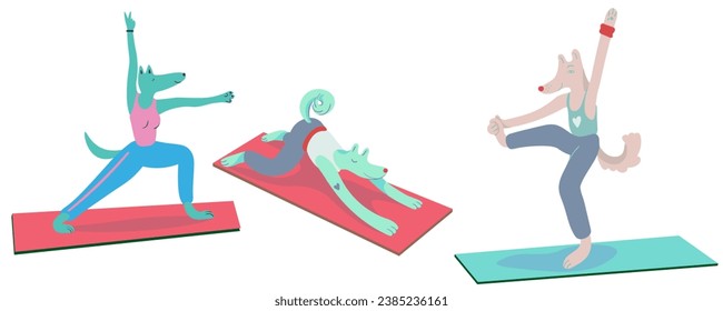 conjunto de perros de yoga en vector. ejercicio de forma plana. Plantilla para el afiche del logo del sticker de postal para el sitio web de la aplicación. Una serie de perros peludos de estilo plano