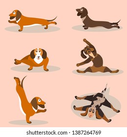 Set of yoga positions and movements of the dogs in cartoon style.