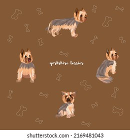 Set of Yorkshire Terrier dog in different poses. Vector illustration of a Mini Yorkie. Pattern with dog and bones. Brown isolated background.