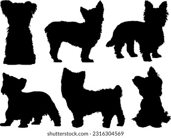 Colectivo de Perros Terrier de Yorkshire Silhouette