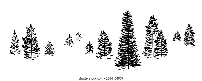 Set of young Christmas trees. Spruce forest, vector illustration isolated on a white background. Bundle of small Christmas trees, hand-drawn silhouette. 