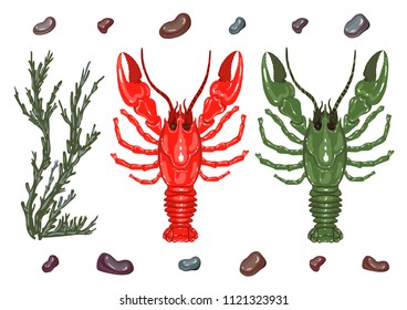 Set for your pattern. Red and green river crayfish, stones underwater and green algae, vector