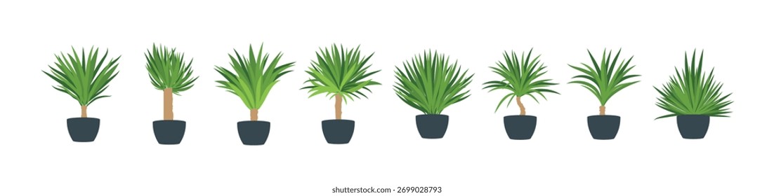 Set of yucca icons vector illustration
