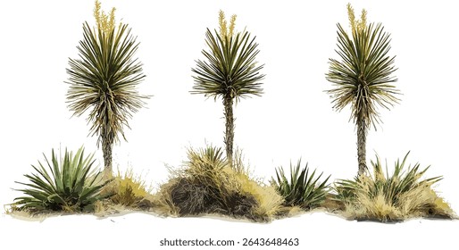 Conjunto de Yucca rostrata bico yucca Big Bend yucca médio e pequeno isolado árvore vetor ilustração recortar planta frontal deserto, paisagismo xeriscape, flora tolerante à seca.