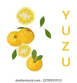 Set of Yuzu fruits with name isolated on a white background. vector illustration.