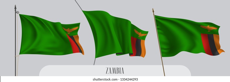Set of Zambia waving flag on isolated background vector illustration. 3 green with bird Zambian wavy realistic flag as a patriotic symbol 