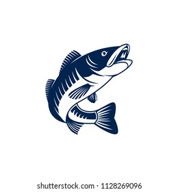 Set of zander fish / predator fish illustration isolated on white background. Design elements for logo, label, emblem, sign, brand mark. Vector illustration.
