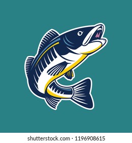 Set of zander fish / predator fish illustration. Design elements for logo, label, emblem, sign, brand mark. Vector illustration.