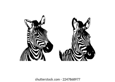 Set of zebra head graphics isolated on white background, vector illustration. zebra icon