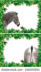 A set of zebra on nature frame illustration