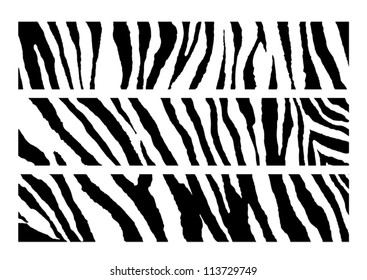 set of Zebra pattern vector