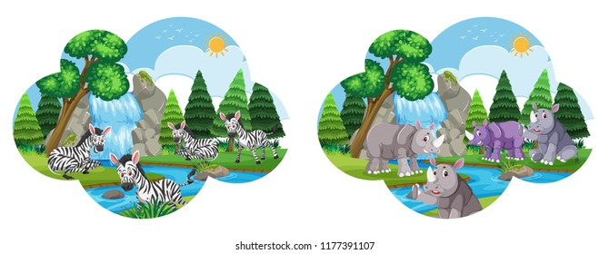 Set of zebra and rhinos in enviroment illustration