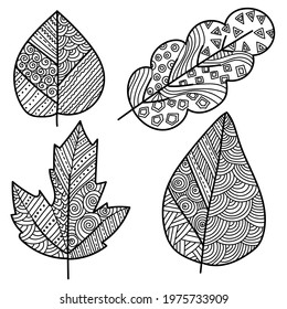 Set of zen leaves with ornate patterns, coloring page with plant motifs vector illustration
