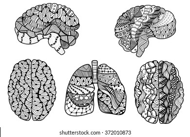 Set of Zentangle Sketchy Human Brain and  lungs doodle decorative curves outline ornamental seamless pattern