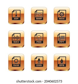 Set ZIP file document, RAW, OGG, PSD, WAV and MAX icon. Vector