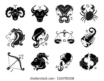 Scorpio Zodiac Tattoo High Res Stock Images Shutterstock