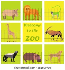 Set with Zoo Animals Placed Behind the Fence and on the Square Background. Welcoming Text in the Center. Vector EPS 10