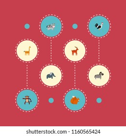 Set of zoo icons flat style symbols with cow, deer, zebra and other icons for your web mobile app logo design.