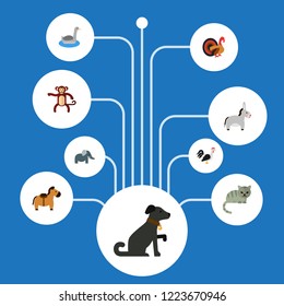 Set of zoo icons flat style symbols with cat, elephant, cock and other icons for your web mobile app logo design.