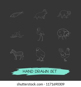 Set of zoo icons line style symbols with rooster, flamingo, puppy and other icons for your web mobile app logo design.