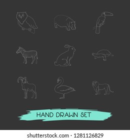 Set of zoo icons line style symbols with ovis, zebra, turtle and other icons for your web mobile app logo design.