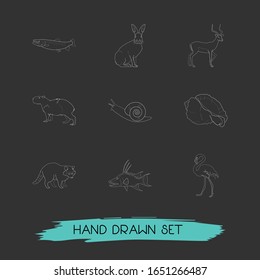Set of zoo icons line style symbols with raccoon, hare, capybara and other icons for your web mobile app logo design.
