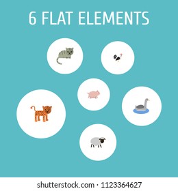 Set of zoology icons flat style symbols with cat, sheep, cock and other icons for your web mobile app logo design.