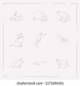 Set of zoology icons line style symbols with cat, whale, ant and other icons for your web mobile app logo design.