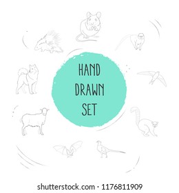 Set of zoology icons line style symbols with swift, dog, marmoset and other icons for your web mobile app logo design.