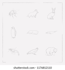 Set of zoology icons line style symbols with bear, puppy, eagle and other icons for your web mobile app logo design.