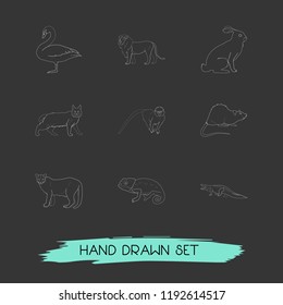 Set of zoology icons line style symbols with rabbit, lion, lynx and other icons for your web mobile app logo design.