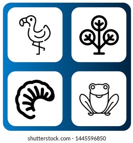 Set of zoology icons such as Flamingo, Phylogenetic, Larva, Frog , zoology