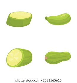 Set of zucchini and squash illustrations in various cuts, ideal for foodrelated designs