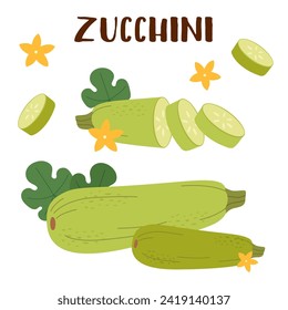 Set von Zucchini-Gemüse im flachen Stil einzeln auf weißem Hintergrund.