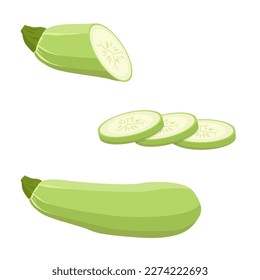 Un conjunto de calabacines, enteros y rebanados. Ilustración vectorial en un fondo blanco.
