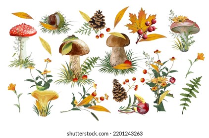 Seth autumn mushrooms leaves bumps. autumn compositions for decoration. Vector illustration. isolate on white background.