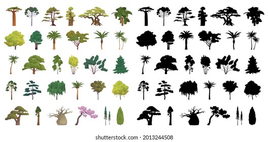 Seth black silhouettes and realistic trees from different climatic zones on a white background - Vector illustration