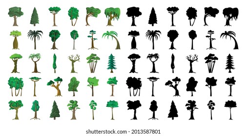 Seth black silhouettes and realistic trees from different climatic zones on a white background - Vector illustration