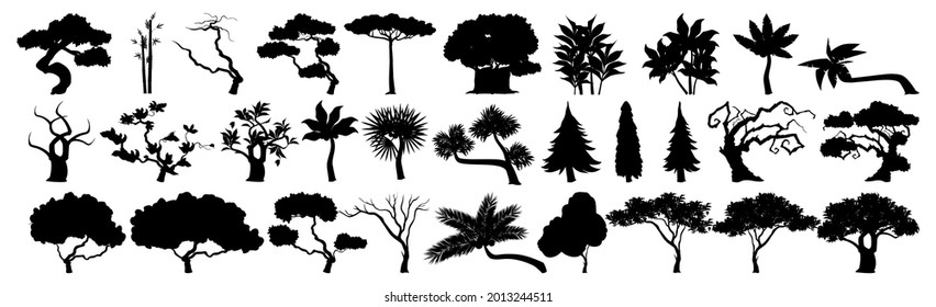 Seth black silhouettes of trees from different climatic zones on a white background - Vector illustration