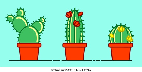 
Seth cactus with flowers on a blue background